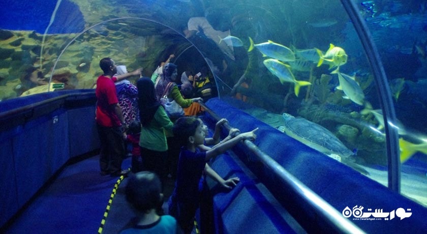 سرگرمی آکوآریا کی ال سی سی شهر مالزی کشور کوالالامپور